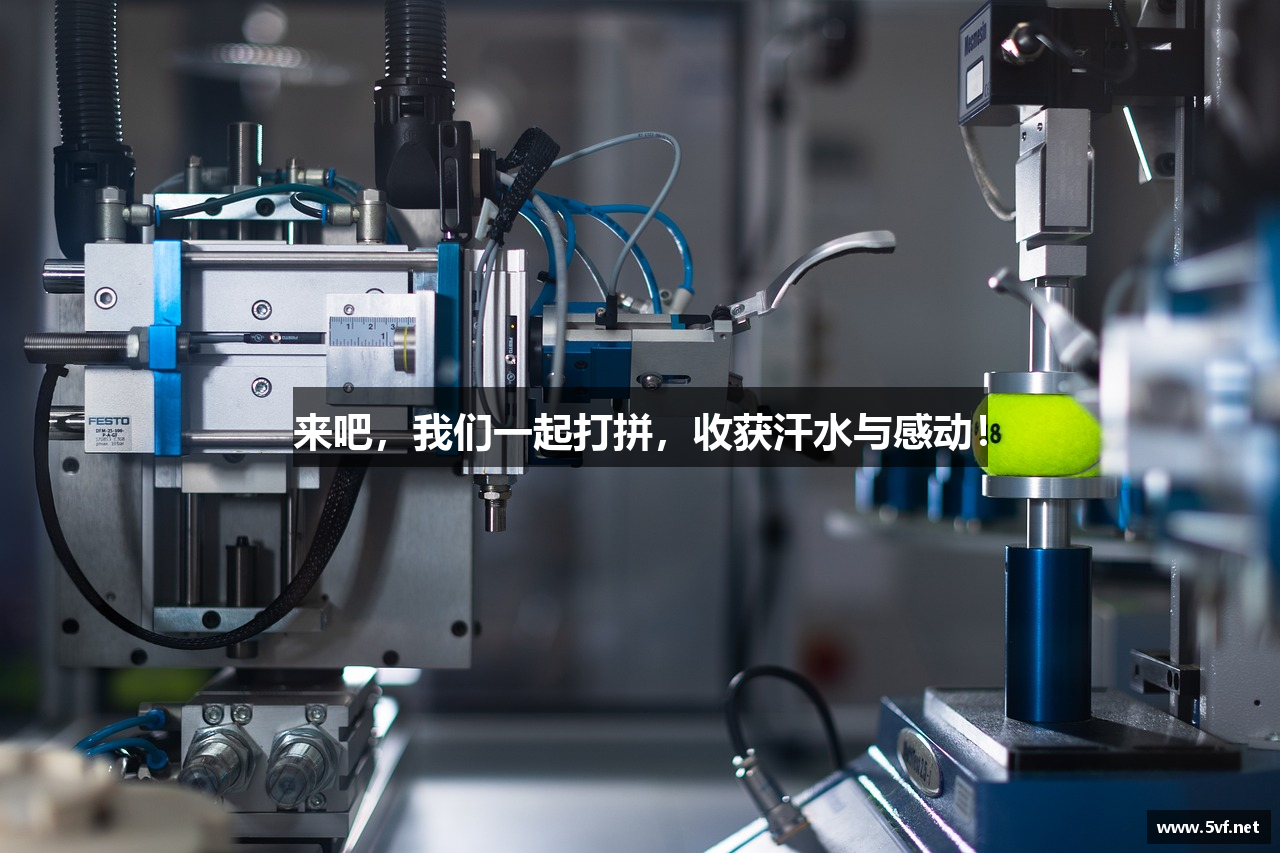 来吧，我们一起打拼，收获汗水与感动！
